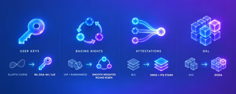 
			Разработчики Tezos запустили постквантовую тестовую сеть Quantumnet		